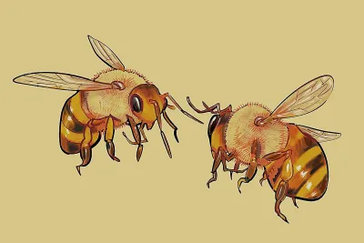 Bees
