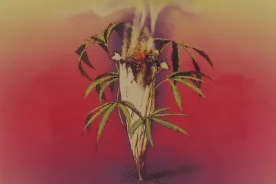 Bob Marley's Kaya album sleeve