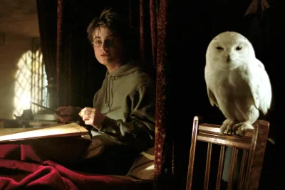 Daniel Radcliffe as Harry Potter with his owl Hedwig