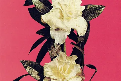 Dos Gardenias CD cover