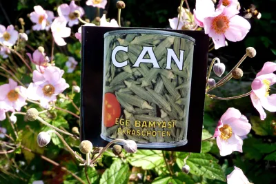 Cover of Ege Bamyasi by Can, propped among pink Japanese anemone flowers