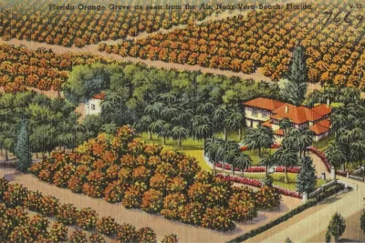 Florida orange grove as seen from the air