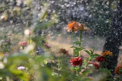 Flowers by Childed