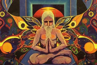 Music for Yoga Meditation and Other Joys by Ronald Walotsky