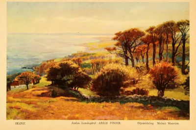 Arild Pinier by Justus Lundegard