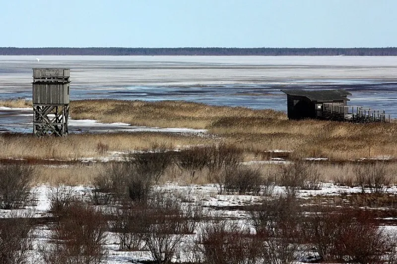 Birdwatching hideouts in Liminganlahti by Estormiz