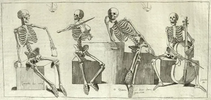 Old engraving of four skeleton musicians seated on blocks, playing violin and cello