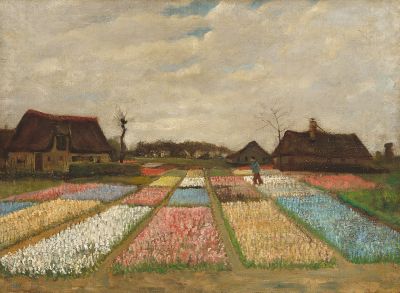 Bulb Fields by Vincent van Gogh

