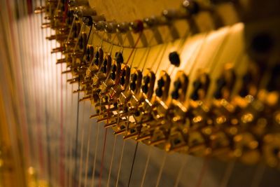 Harp strings

