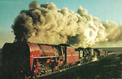 Steam in Africa by Guenter Haslbeck and David Wardale

