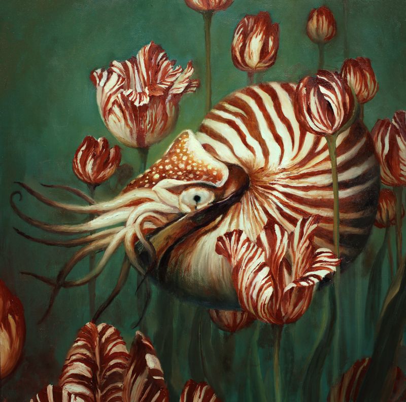 Nautilus by Martin Wittfooth
