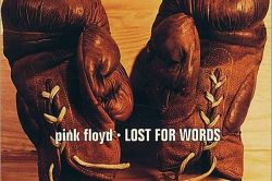 Pink Floyd's Lost for Words CD cover

